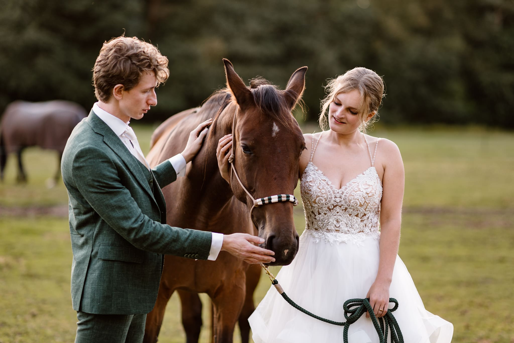 Bruidspaar staat tijdens het fotograferen van bruidsportretten op de weide tussen de paarden en aait het hoofd van hun paard.