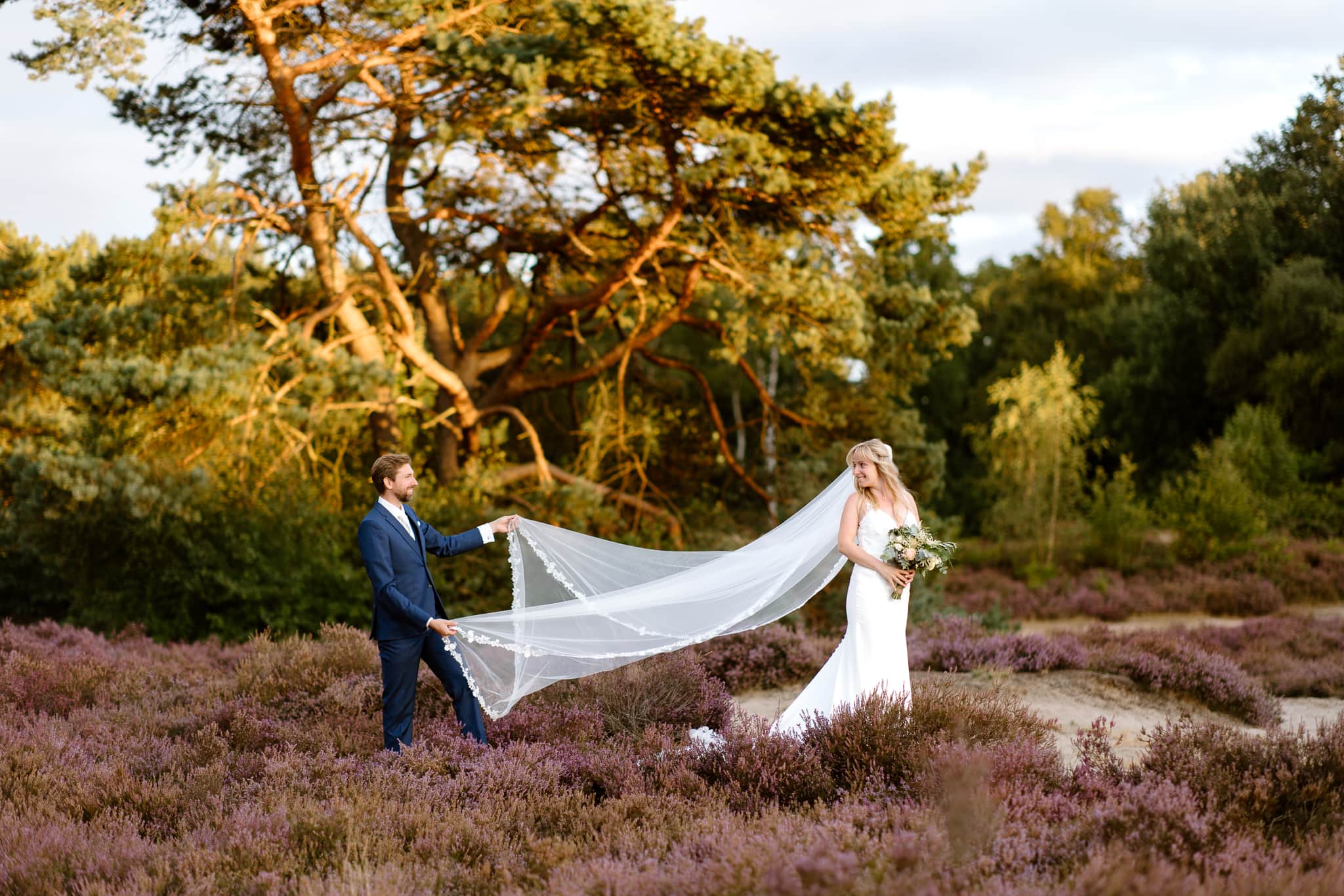 Bruidspaar staat op de bloeiende heide in Drenthe. De bruidegom houdt de lange sluier van zijn bruid vast, terwijl de bruid over haar schouder naar hem kijkt.