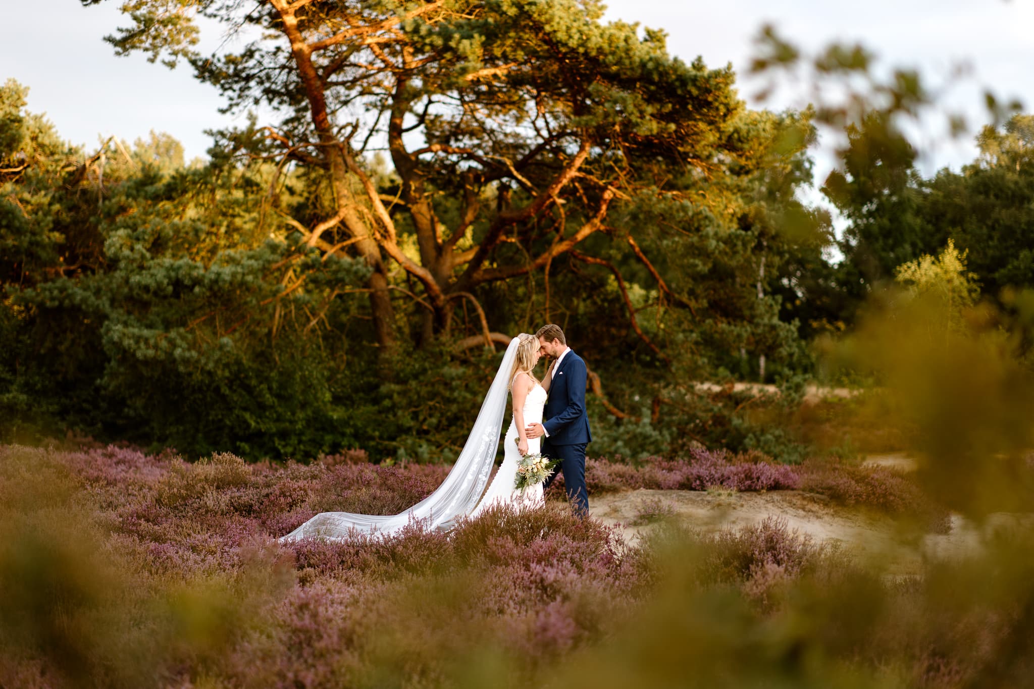 Bruidspaar staat op de bloeiende heide met ondergaande zon en houdt hun voorhoofden tegen elkaar aan.