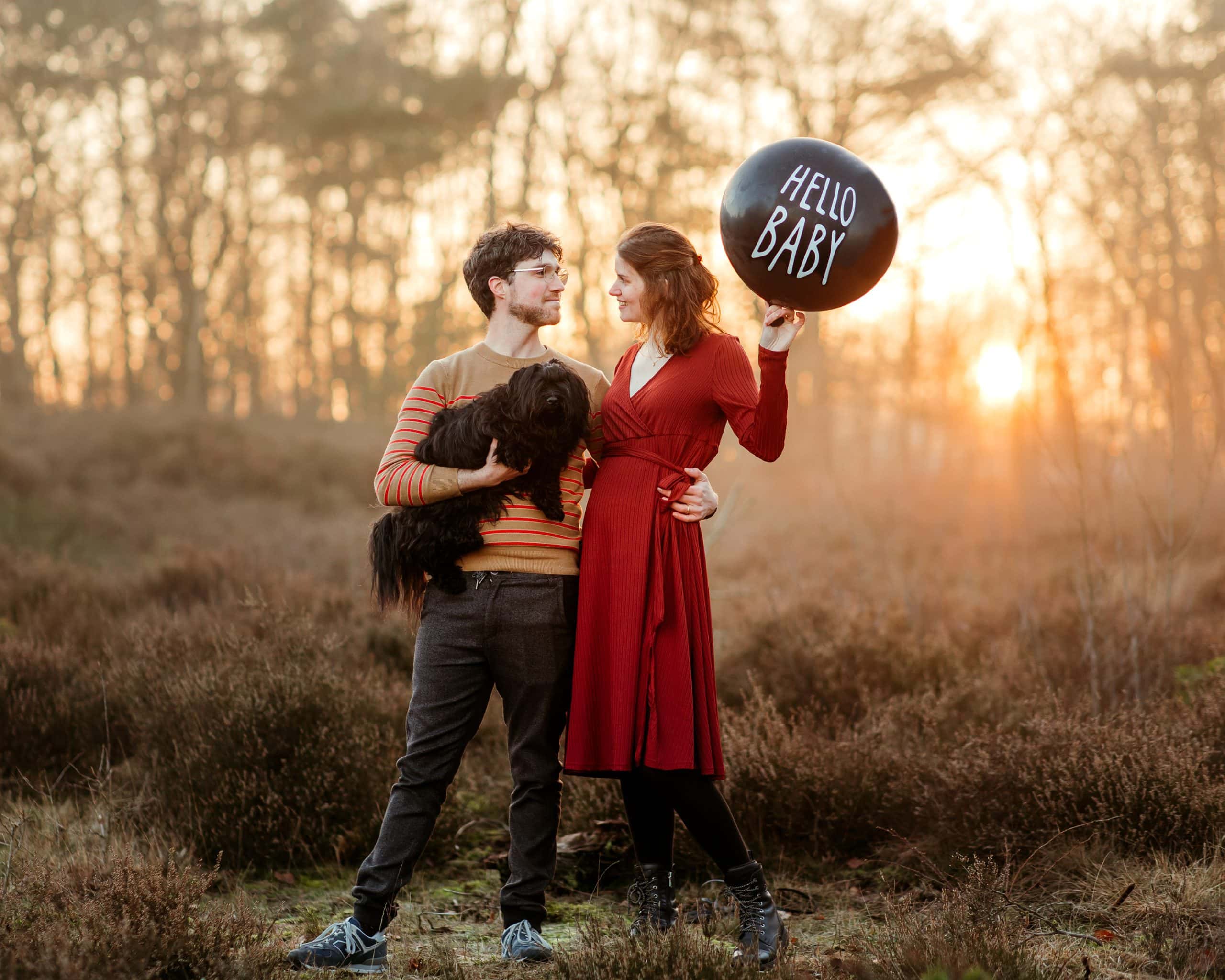 dat een baby verwacht staat met zonsondergang op de heide met hun hondje en een ballon met daarop de tekst Hello Baby