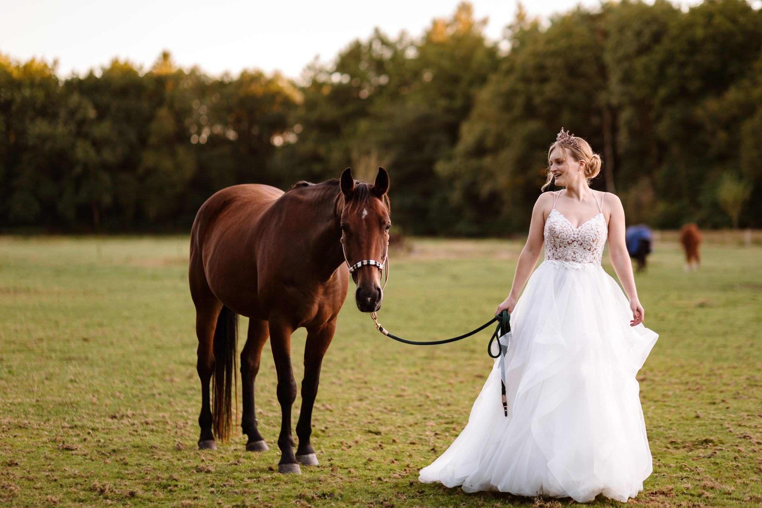 Een bruid loopt met een paard in een veld.